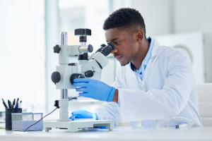The First Labs
